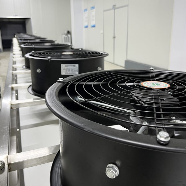 挂糖流水线照片